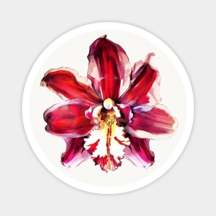 Red Orchid Flower Magnet